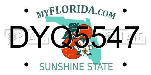 DYQ5547 Florida License Plate