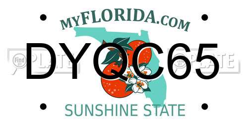 DYQC65 Florida License Plate