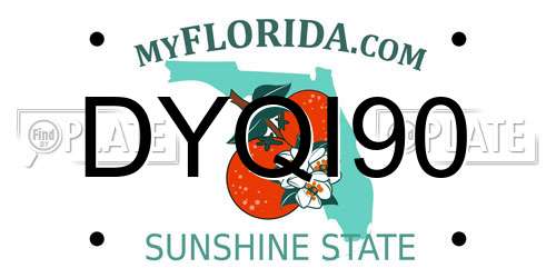 DYQI90 Florida License Plate