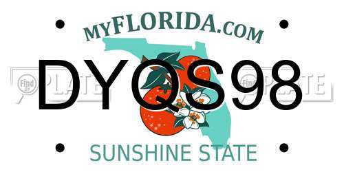DYQS98 Florida License Plate