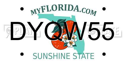 DYQW55 Florida License Plate