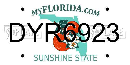 DYR6923 Florida License Plate