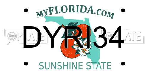 DYRI34 Florida License Plate
