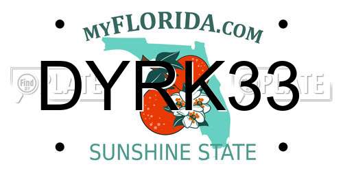DYRK33 Florida License Plate