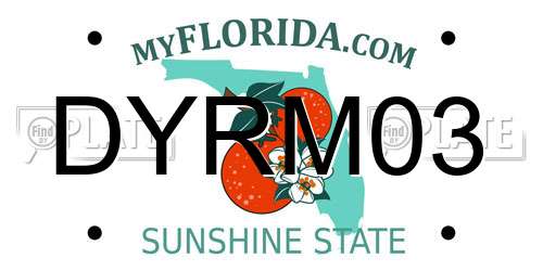 DYRM03 Florida License Plate