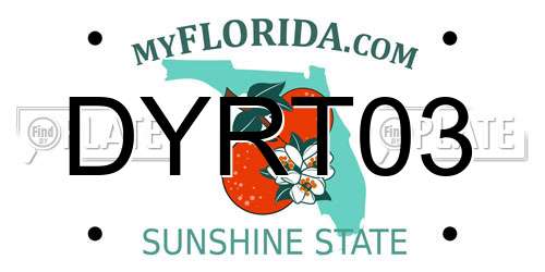 DYRT03 Florida License Plate