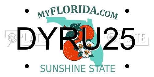 DYRU25 Florida License Plate