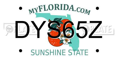 DYS65Z Florida License Plate