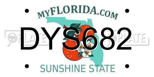 DYS682 Florida License Plate