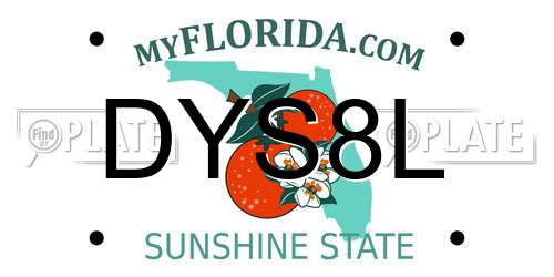 DYS8L Florida License Plate