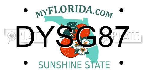 DYSG87 Florida License Plate