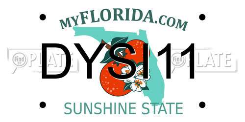 DYSI11 Florida License Plate
