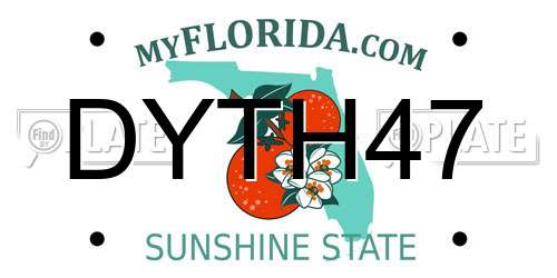 DYTH47 Florida License Plate