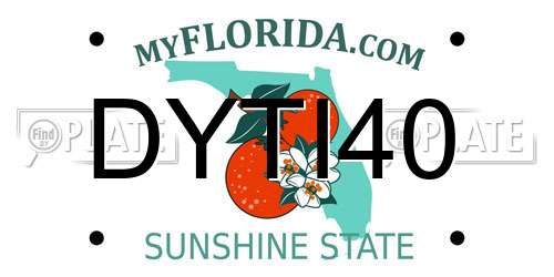 DYTI40 Florida License Plate