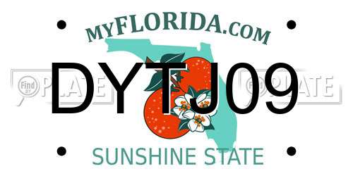DYTJ09 Florida License Plate