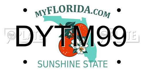 DYTM99 Florida License Plate