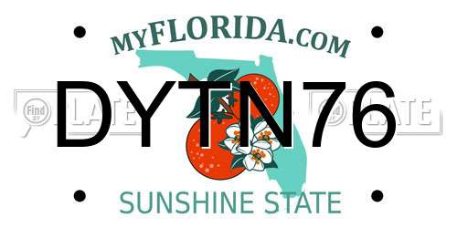 DYTN76 Florida License Plate