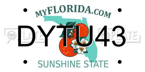 DYTU43 Florida License Plate