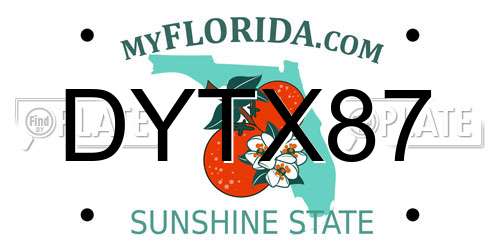 DYTX87 Florida License Plate