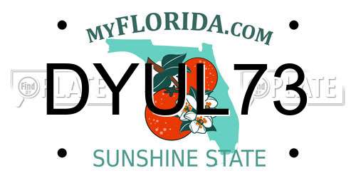 DYUL73 Florida License Plate