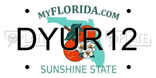 DYUR12 Florida License Plate