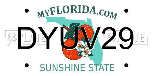 DYUV29 Florida License Plate