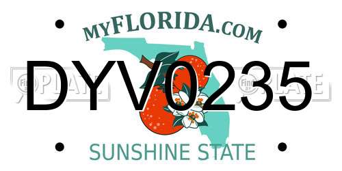 DYV0235 Florida License Plate