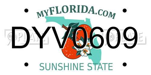 DYV0609 Florida License Plate