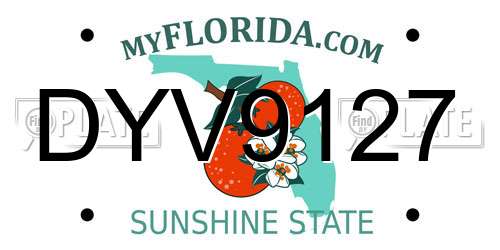 DYV9127 Florida License Plate