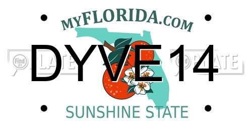 DYVE14 Florida License Plate