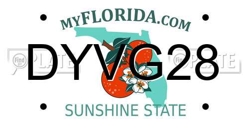 DYVG28 Florida License Plate
