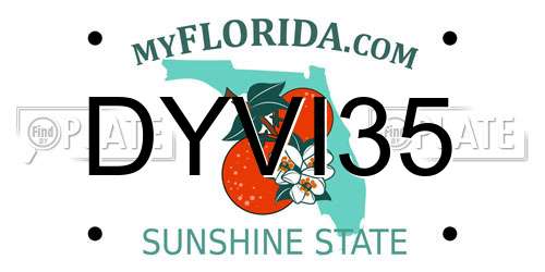 DYVI35 Florida License Plate