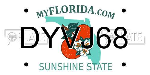 DYVJ68 Florida License Plate