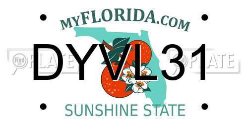 DYVL31 Florida License Plate