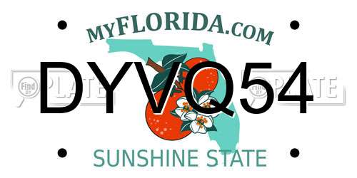 DYVQ54 Florida License Plate