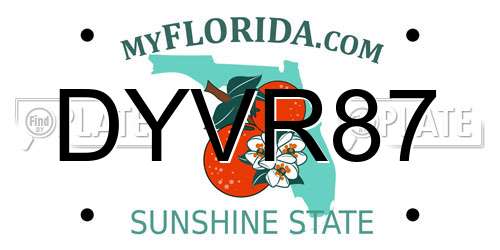 DYVR87 Florida License Plate