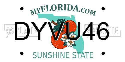 DYVU46 Florida License Plate