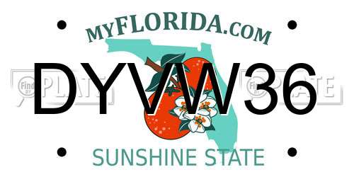 DYVW36 Florida License Plate