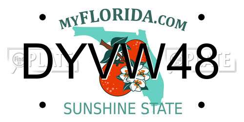 DYVW48 Florida License Plate