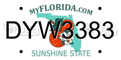 DYW3383 Florida License Plate