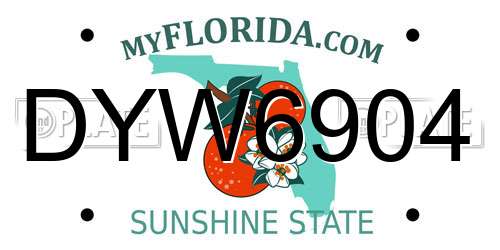 DYW6904 Florida License Plate