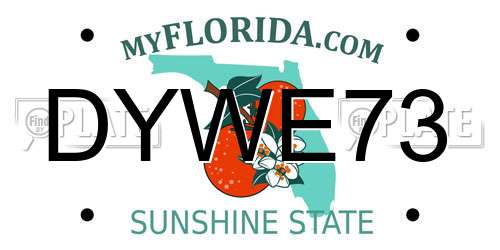 DYWE73 Florida License Plate