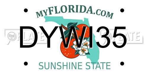 DYWI35 Florida License Plate