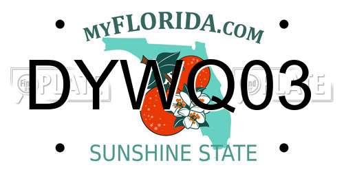 DYWQ03 Florida License Plate