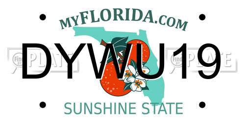DYWU19 Florida License Plate
