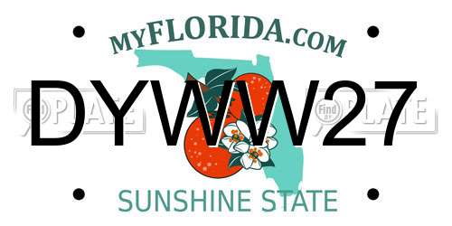 DYWW27 Florida License Plate