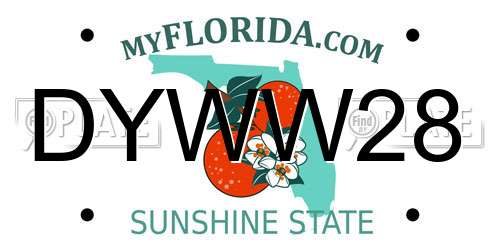 DYWW28 Florida License Plate