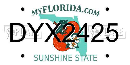 DYX2425 Florida License Plate
