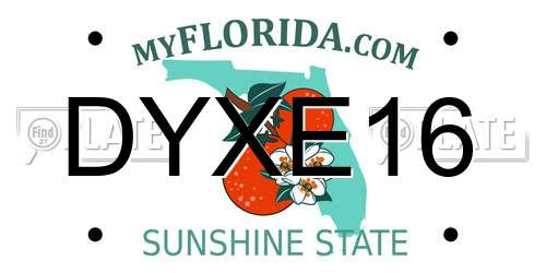 DYXE16 Florida License Plate