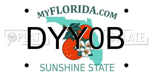 DYY0B Florida License Plate